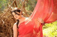 Tashu Kaushik Hot Saree Photos